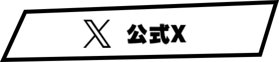 公式X